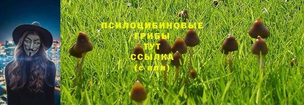 не бодяженный Волоколамск
