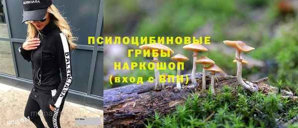 не бодяженный Волоколамск