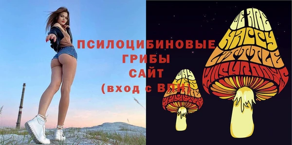 дмт Семикаракорск